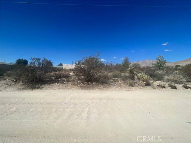 Morongo Valley, CA 92256,0 Bella Vista DR