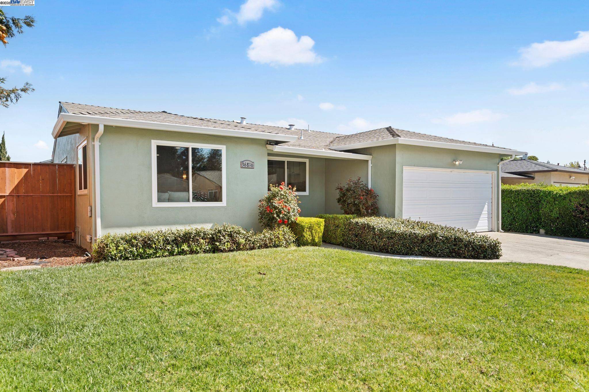 Fremont, CA 94536,36816 Capistrano Dr
