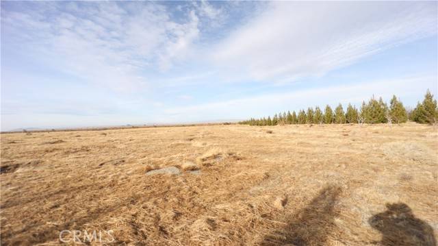 Pinon Hills, CA 92372,3002 Estero RD