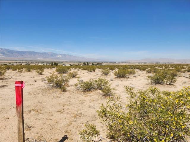 Lucerne Valley, CA 92356,10 AC Cavetto RD