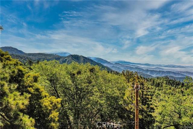 Running Springs, CA 92382,246 Lot Ferndale Dr