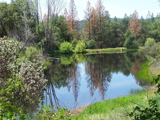 Oakhurst, CA 93644,28 Rusty Ln