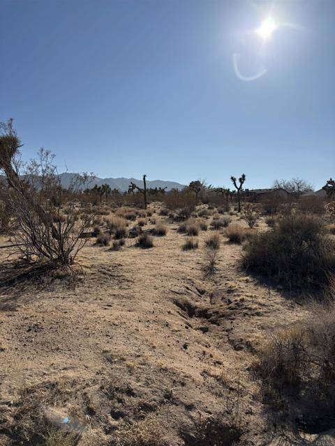 Joshua Tree, CA 92252,0 Division ST