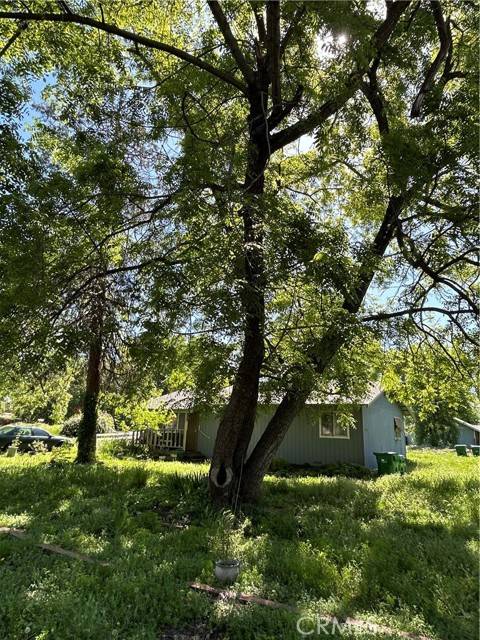 Chico, CA 95926,1946 Palm AVE