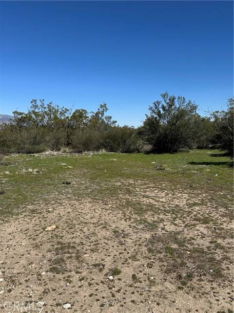 Anza, CA 92539,44805 Chapman RD