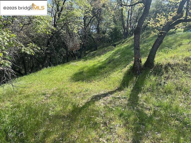 Sonora, CA 95370,21327 American River Dr
