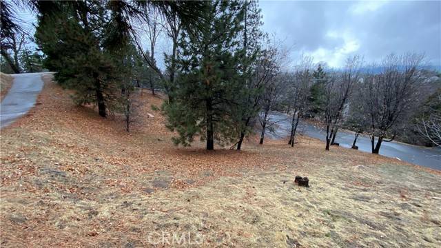 Lake Arrowhead, CA 92352,0 St Bernard LN