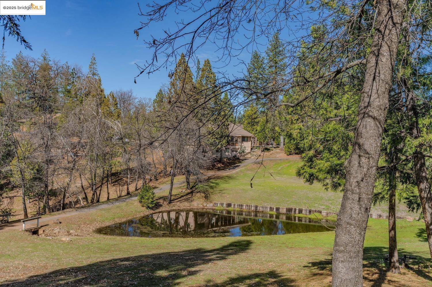 Murphys, CA 95247-9659,1616 Vine Maple Dr 1