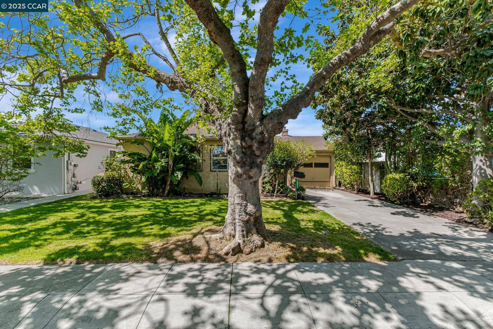 San Lorenzo, CA 94580,16033 Paseo Del Campo