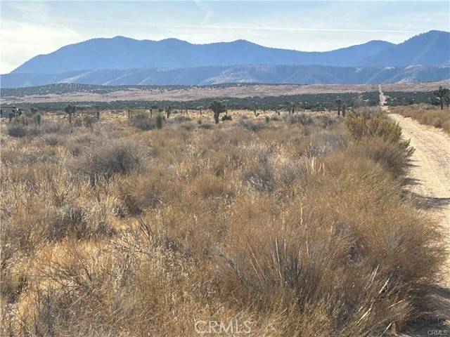 Llano, CA 93544,8 Fort Tejon RD