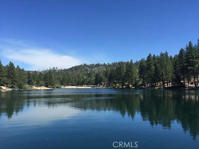 Green Valley Lake, CA 92341,33010 Juniper LN