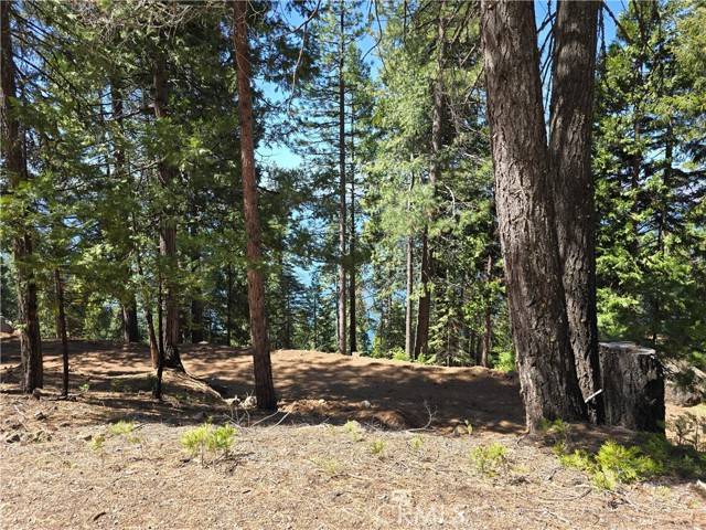 Lake Almanor, CA 96137,777 Lassen View DR