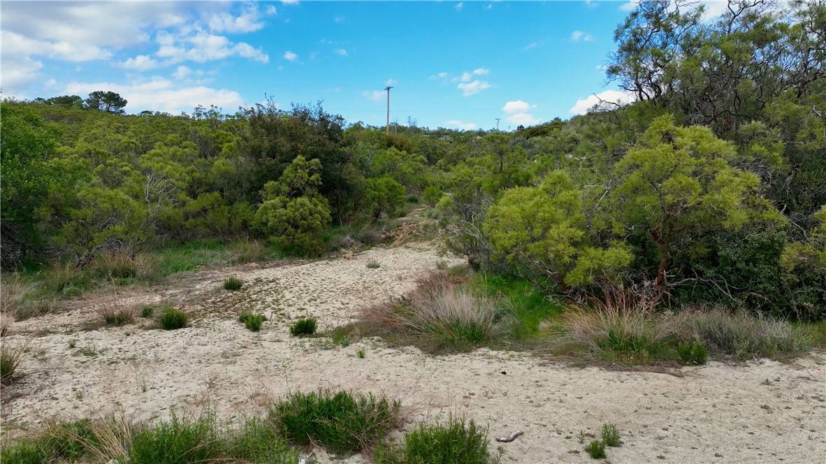 Anza, CA 92539,18 Anzanita LN