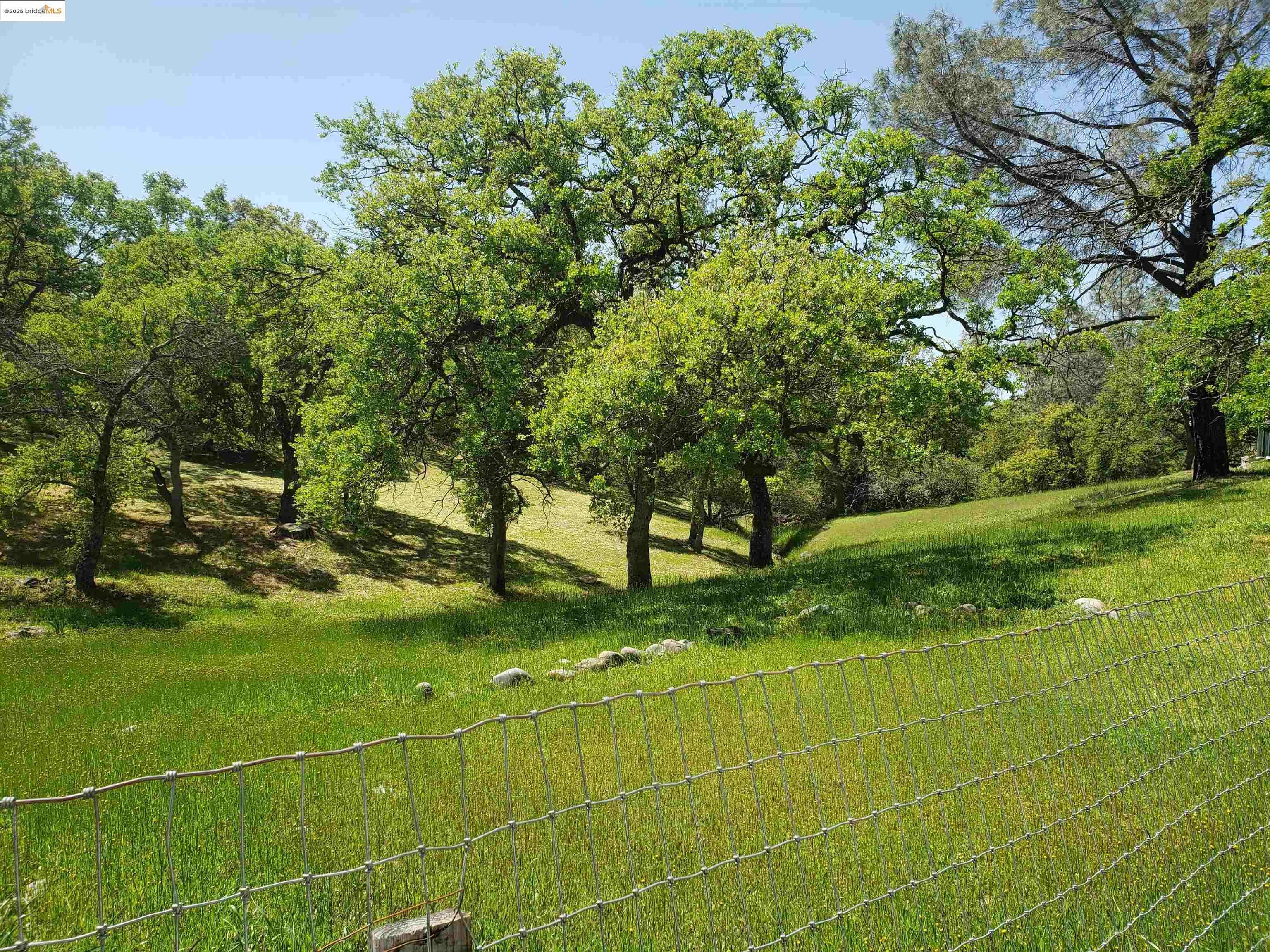 La Grange, CA 95329,4768 Arbolada