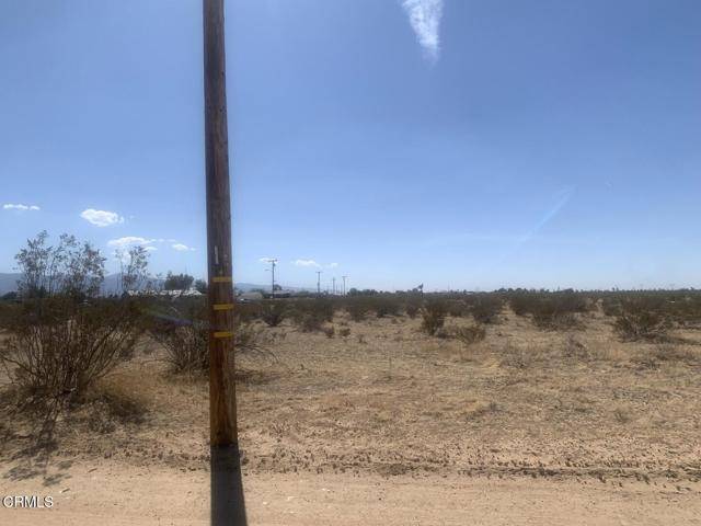 Adelanto, CA 92301,0 Camellia RD
