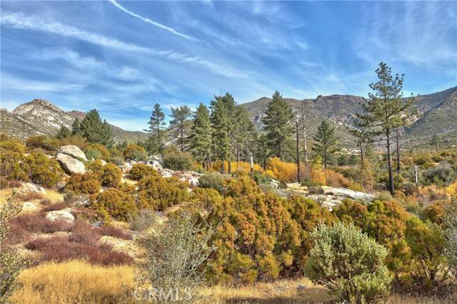 Mountain Center, CA 92561,58111 Bonita Vista RD