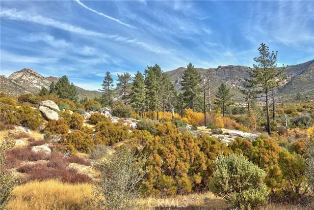 Mountain Center, CA 92561,58111 Bonita Vista RD