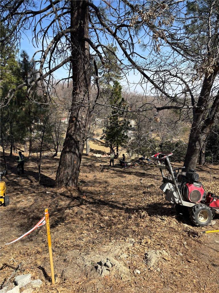 Lake Arrowhead, CA 92352,1684 L WAY