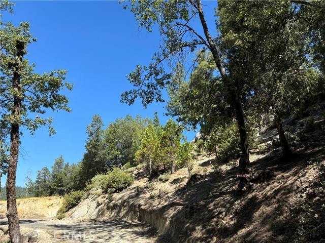 Sonora, CA 95370,22670 Wildcat Ridge RD