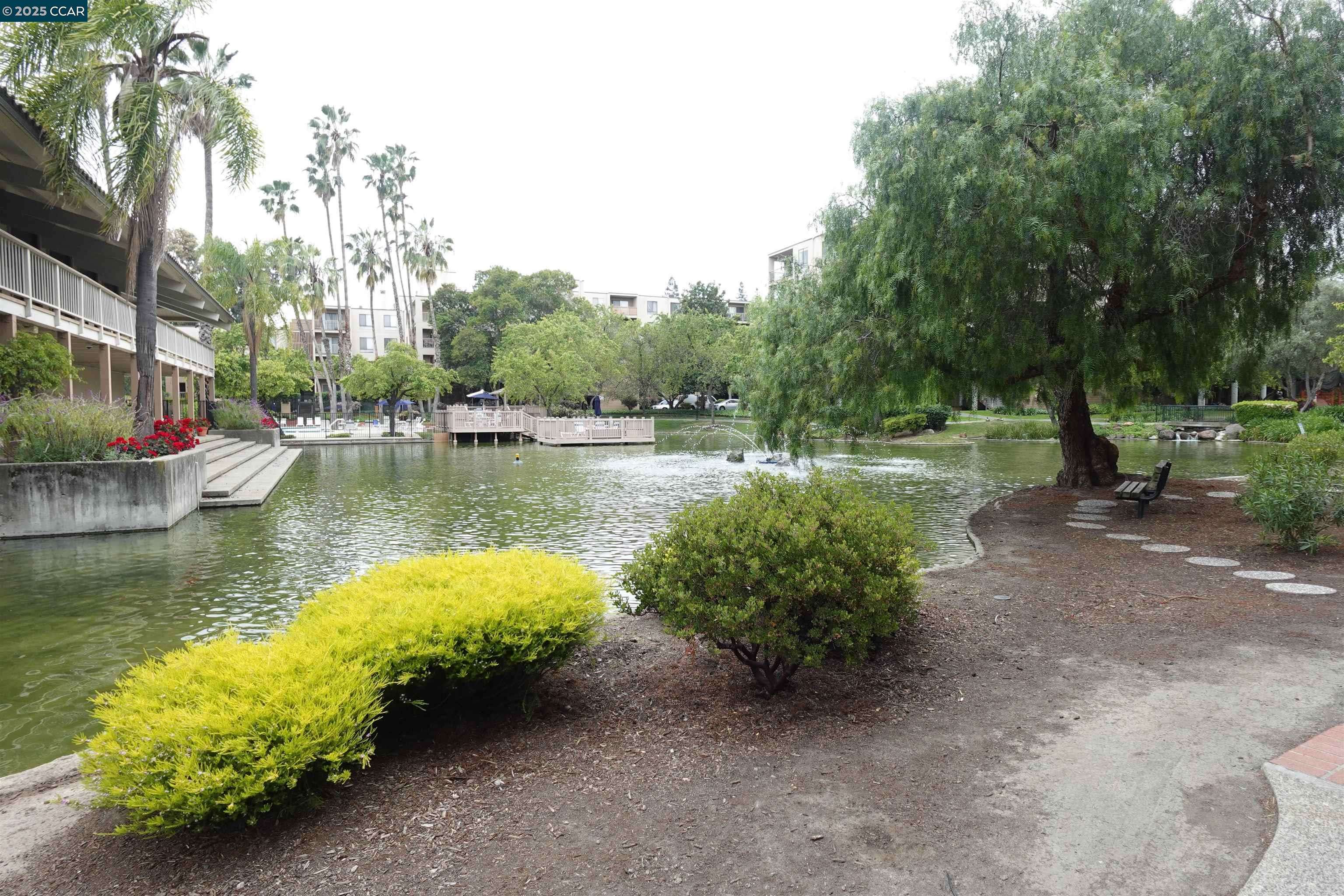 Walnut Creek, CA 94596,410 N Civic Dr 301