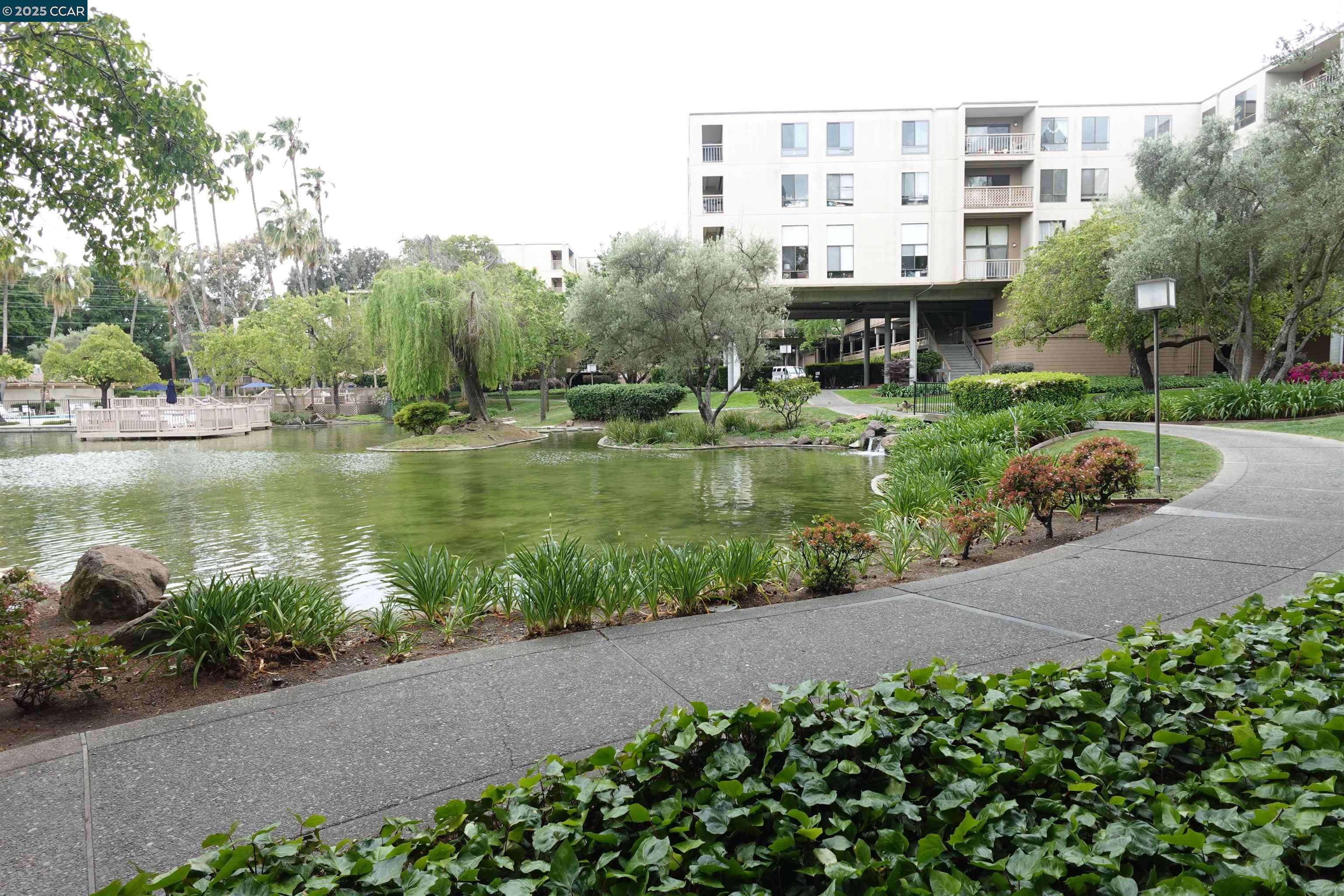 Walnut Creek, CA 94596,410 N Civic Dr 301