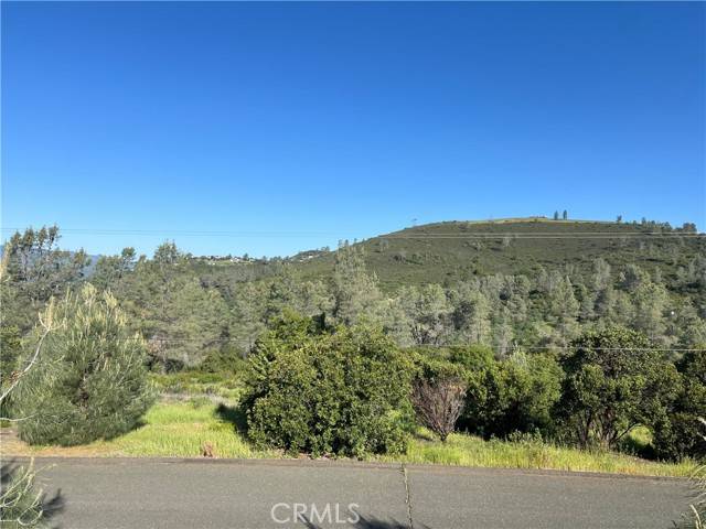 Middletown, CA 95461,19600 Nicholas LN