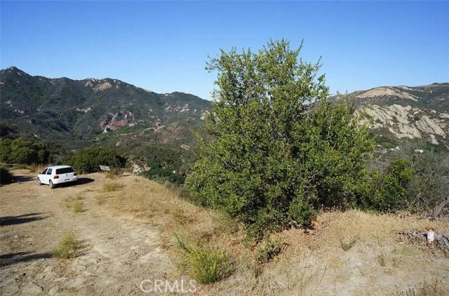 Topanga, CA 90290,1 Mount Prospect Dr.