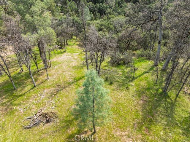 Oakhurst, CA 93644,0 Springwood CT
