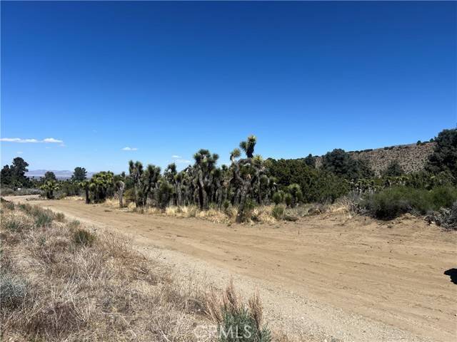Pinon Hills, CA 92372,0 Evergreen RD