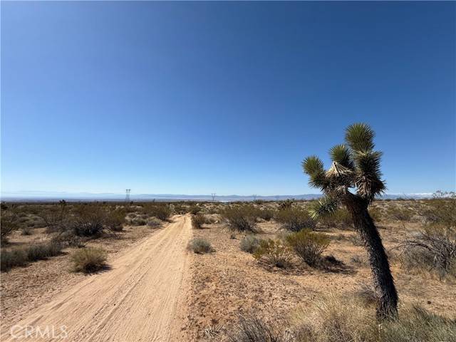 Rosamond, CA 93560,125 125th