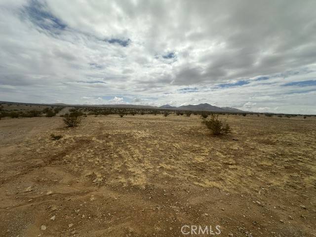 Helendale, CA 92342,0 Palomino RD