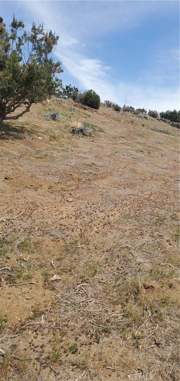 Acton, CA 93550,0 Soledad Pass/Hillside DR