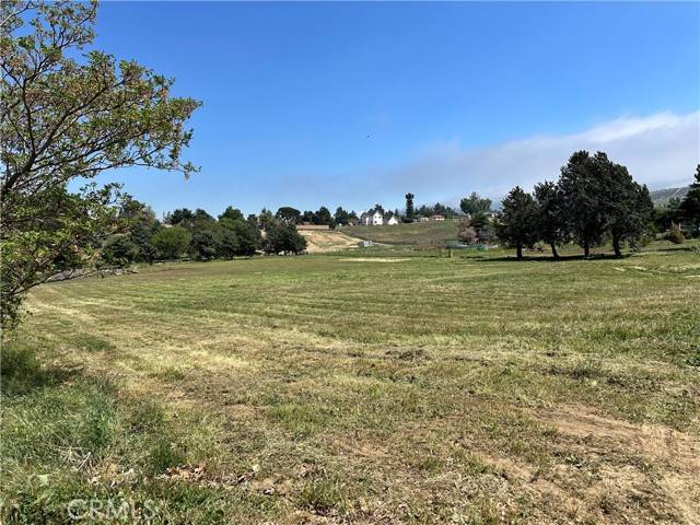 Leona Valley, CA 93551,0 87th ST