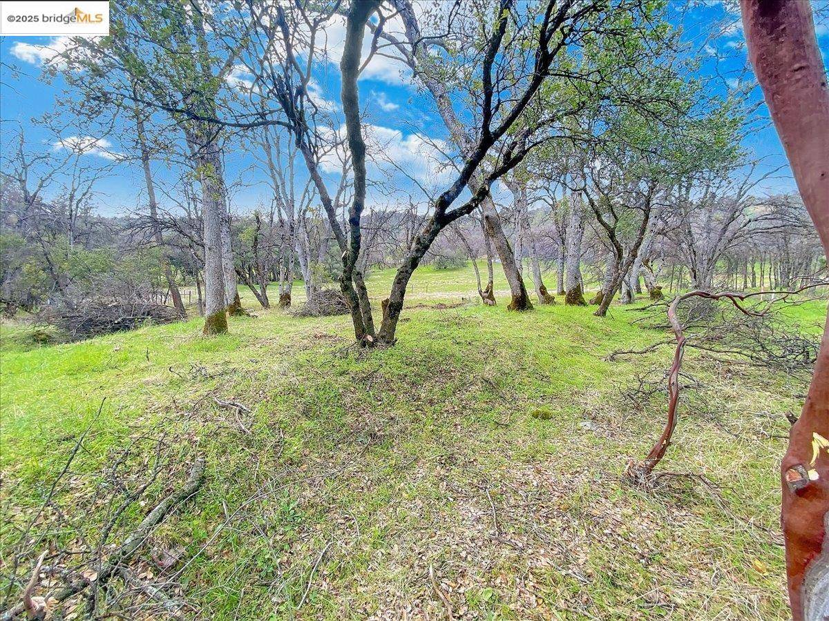 Tuolumne, CA 95379,17951 Crowbar LN