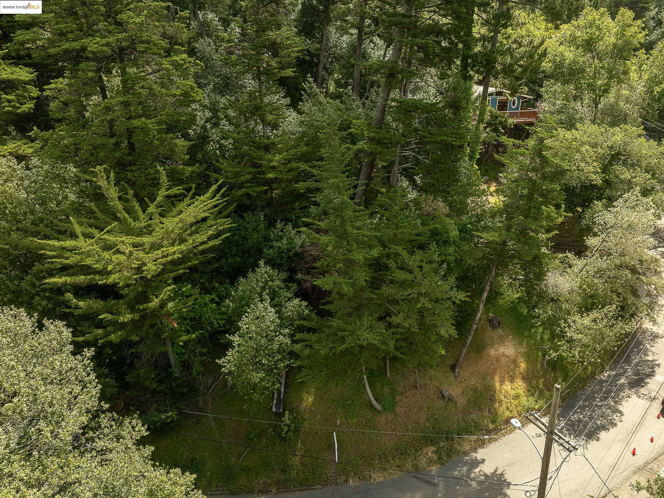 Oakland, CA 94611,0 Chelsea Dr