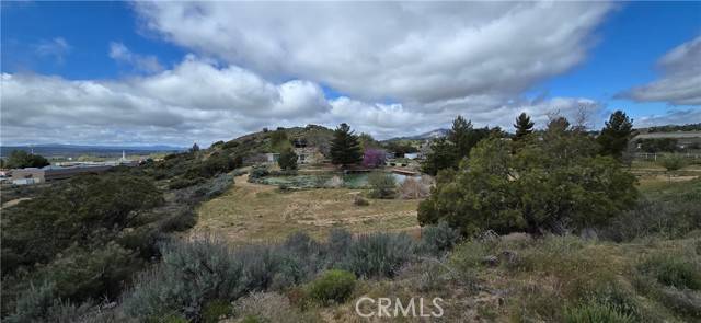 Anza, CA 92539,56695 Cain RD