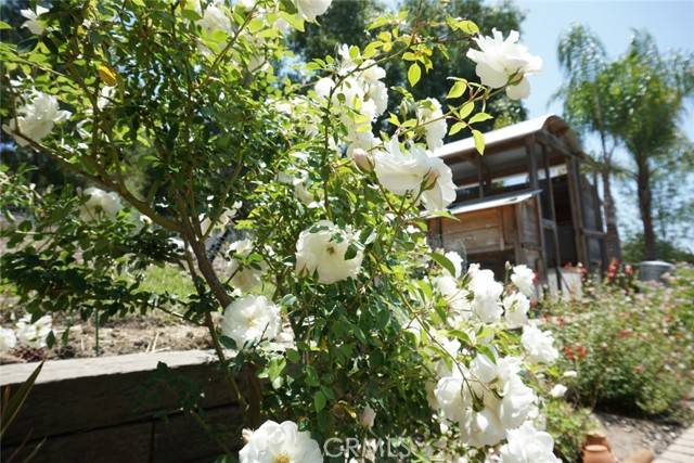 San Juan Capistrano, CA 92675,29941 Imperial DR