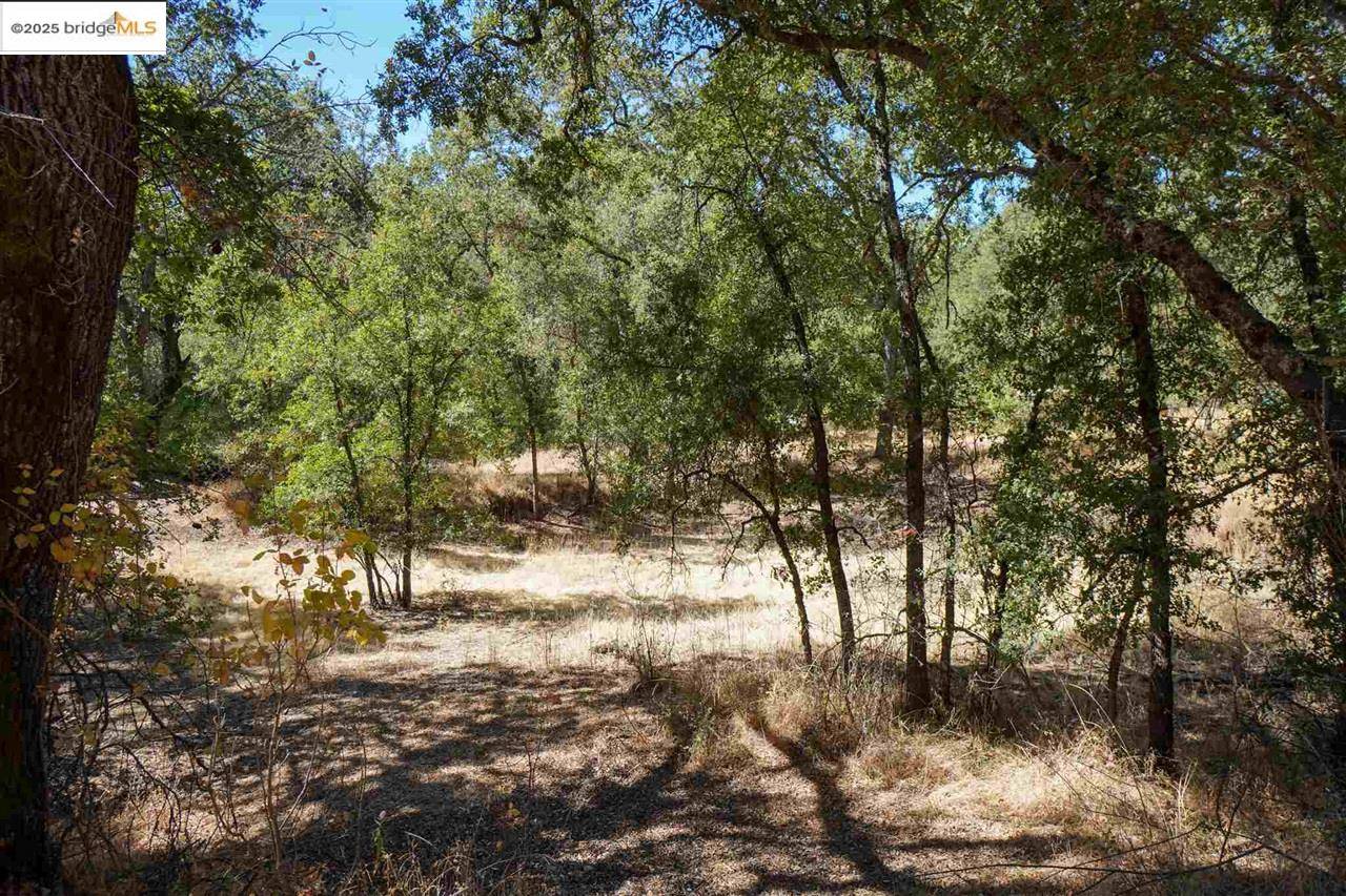 Sonora, CA 95370,11480 Racetrack