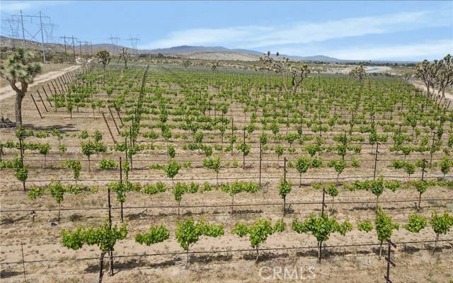 Palmdale, CA 93552,87 Fort Tejon RD