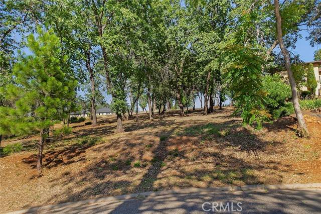 Paradise, CA 95969,5760 Hollis Hill DR