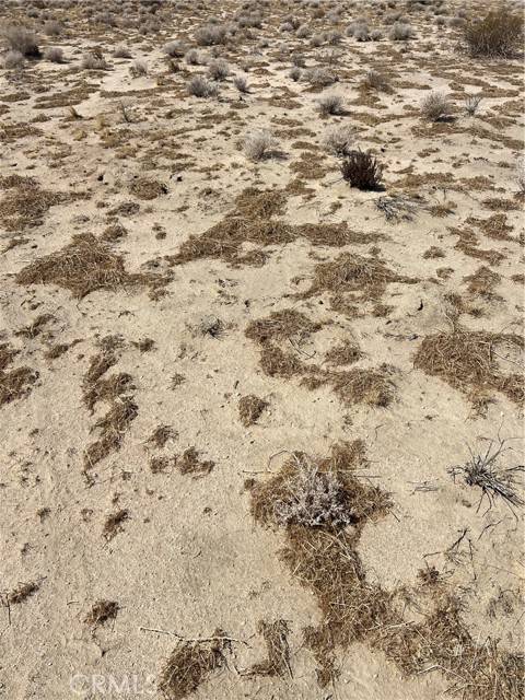 Adelanto, CA 92301,0 County Line RD