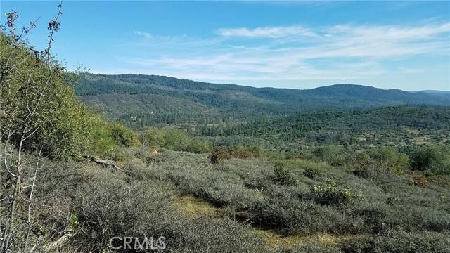 Dobbins, CA 95935,23 Clark Ranch WAY