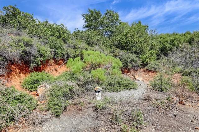 Dobbins, CA 95935,23 Clark Ranch WAY