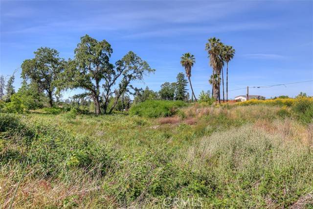 Paradise, CA 95969,678 Buschmann RD