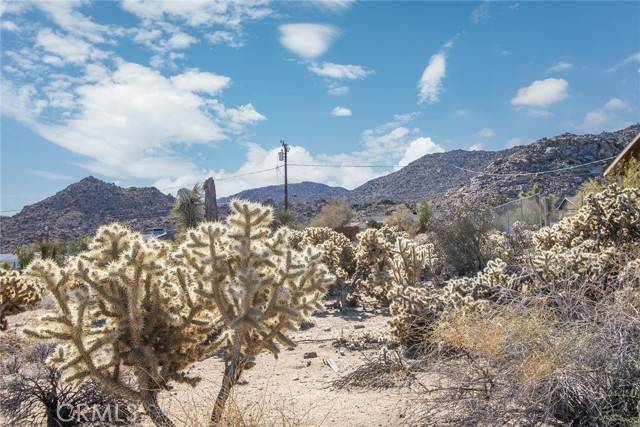 Joshua Tree, CA 92252,4444 Navajo TRL