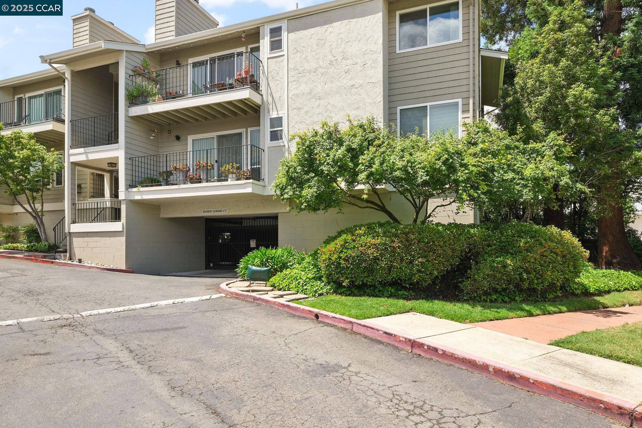 Walnut Creek, CA 94597,1077 Wesley Ct 7