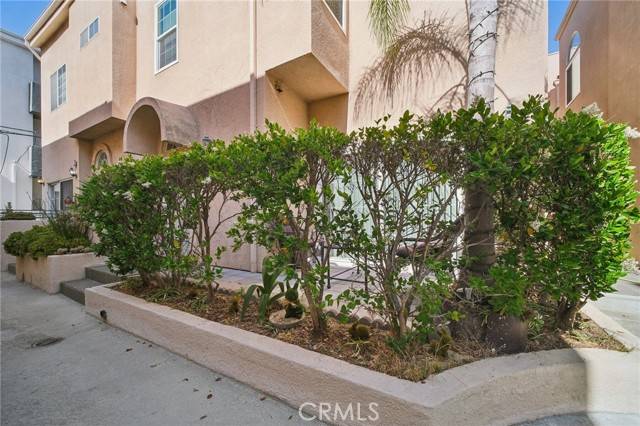Toluca Lake, CA 91602,10659 Bloomfield ST