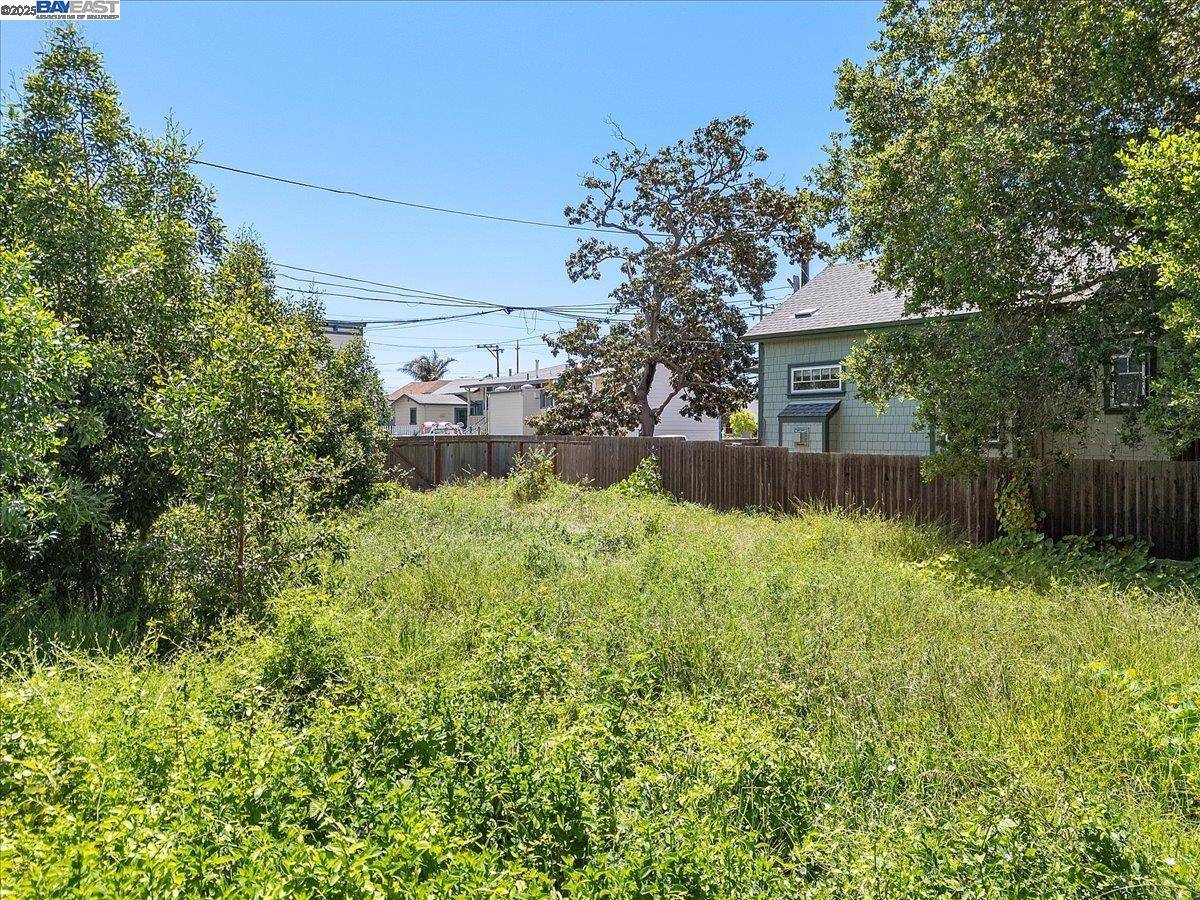 Alameda, CA 94501,310 Spruce St