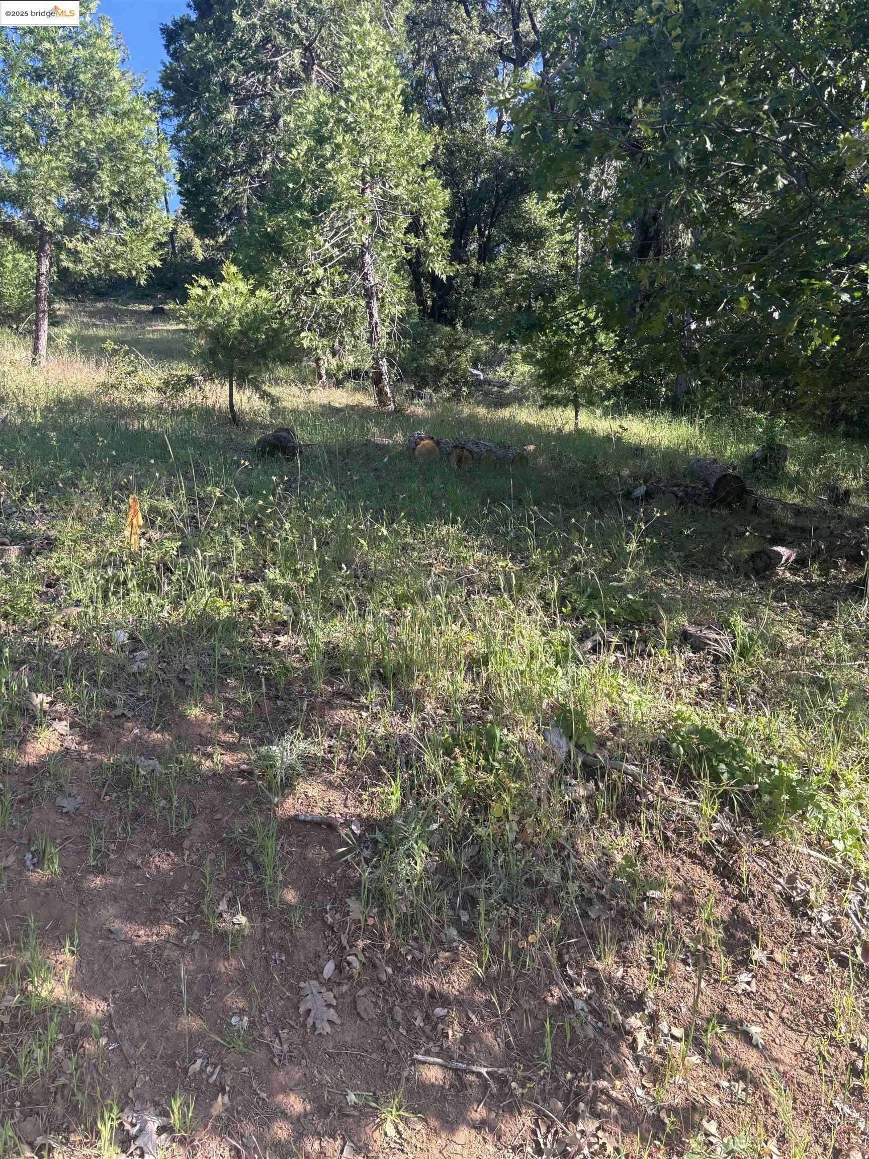 Tuolumne, CA 95379,00000 Eastview Dr