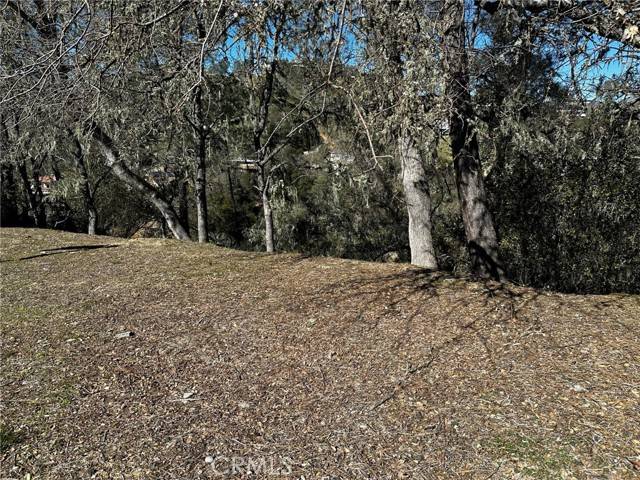 CA 93426,8209 Woody Point LN